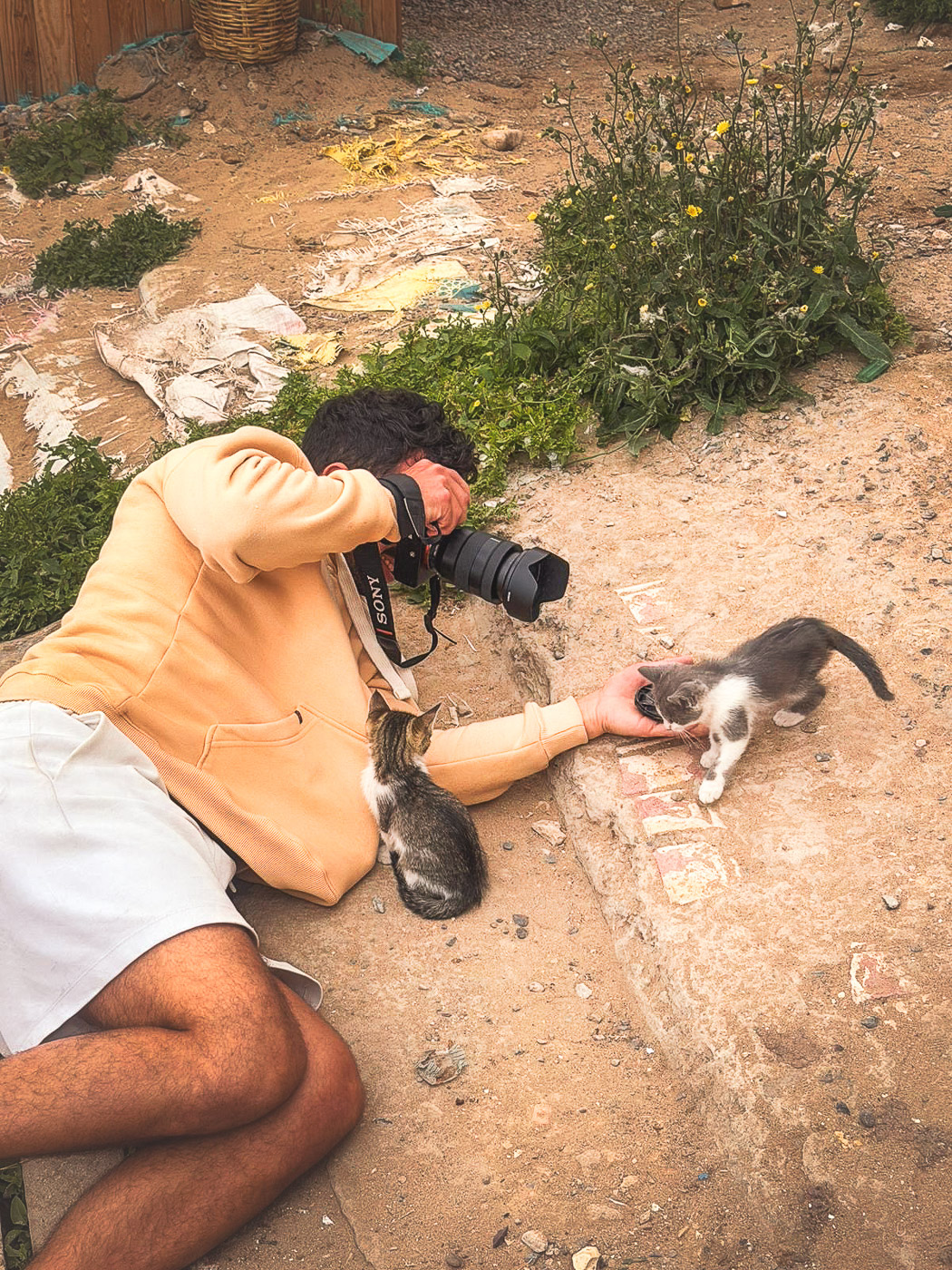 Behind the scene